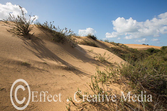 The nature resave sand park, (the big Dune) Ashdod, Israel