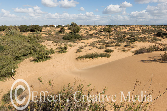 The nature resave sand park, (the big Dune) Ashdod, Israel
