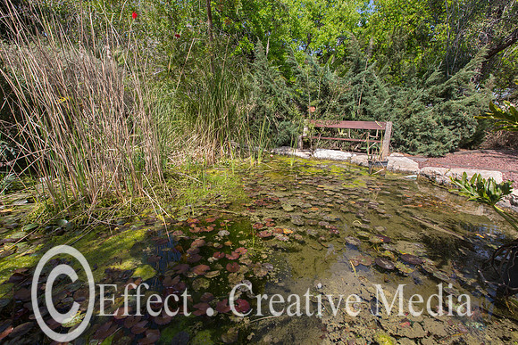 Small pond in garden with a wooden bench