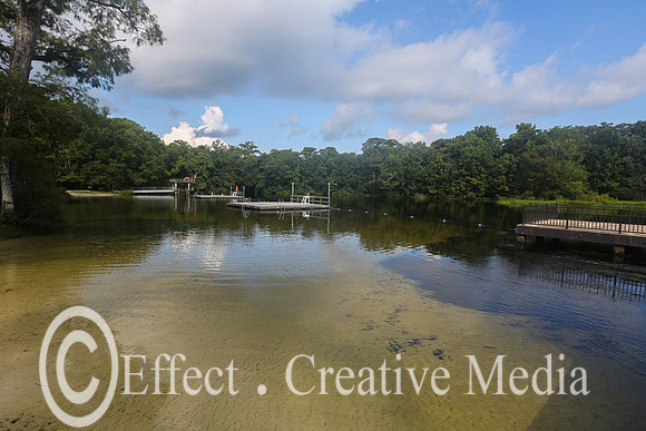 a lake in Wakulla Springs Forida USA