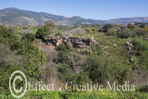 a view of the Hermon Stream Natural Reserve , the Golan Heights