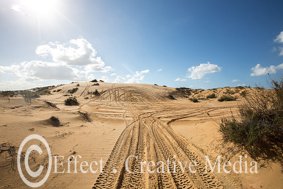 Vehicles tracks in the nature resave sand park, (the big Dune) A