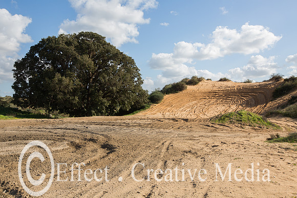 Vehicles tracks in the nature resave sand park, (the big Dune) A