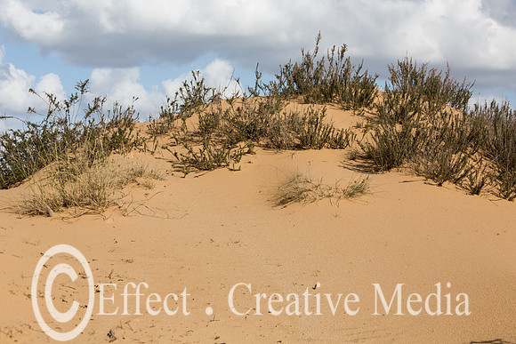 The nature resave sand park, (the big Dune) Ashdod, Israel