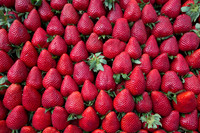 Strawberries stack in a symmetric order