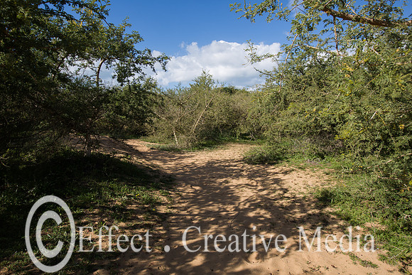 open feild in the nature resave sand park, Ashdod, Israel