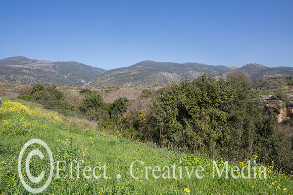 a view of the Hermon Stream Naturarl Reserve , the Golan Heights